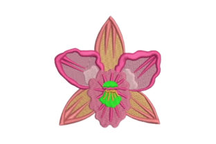 Orchid: A Seasonal Embroidery Design Worth Curating