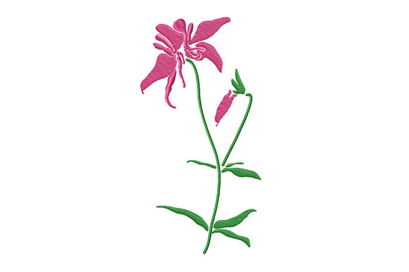 Pink Columbine Flower Embroidery Review