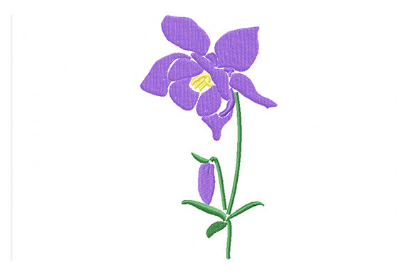 Purple Columbine Flowers